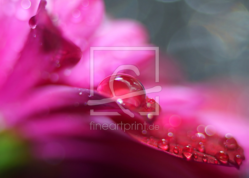 frei w&auml;hlbarer Bildausschnitt f&uuml;r Ihr Bild auf Glas-Schneidebrett