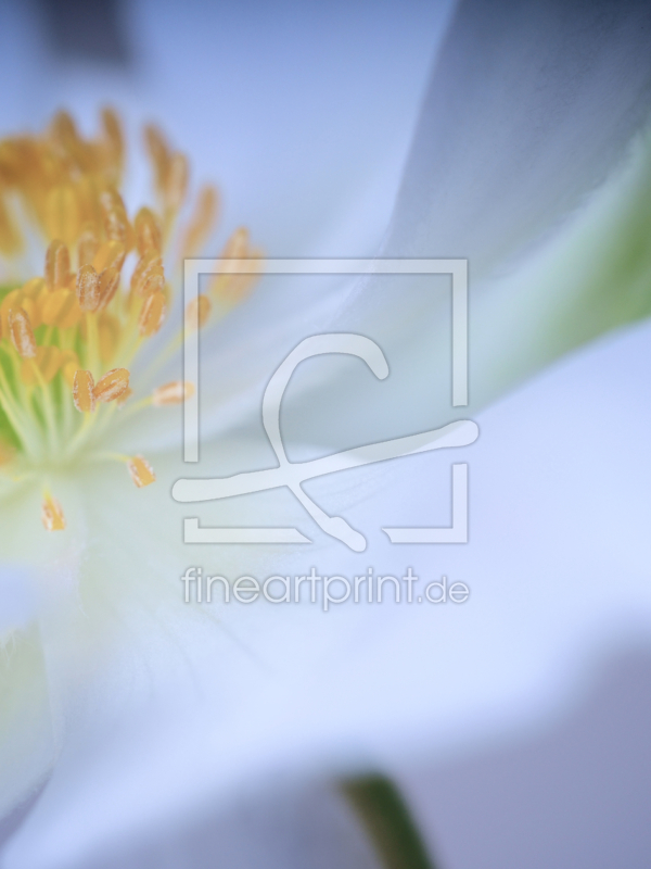 frei w&auml;hlbarer Bildausschnitt f&uuml;r Ihr Bild auf Glas-Schneidebrett