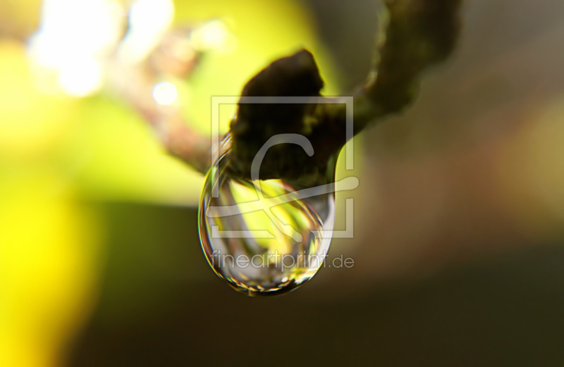 frei w&auml;hlbarer Bildausschnitt f&uuml;r Ihr Bild auf Glas-Schneidebrett