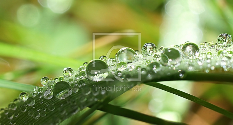 frei w&auml;hlbarer Bildausschnitt f&uuml;r Ihr Bild auf Glas-Schneidebrett