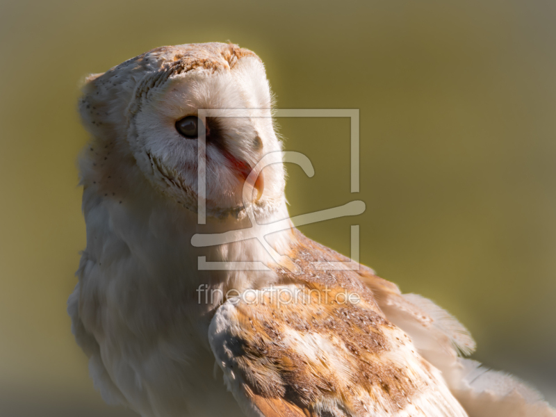 frei w&auml;hlbarer Bildausschnitt f&uuml;r Ihr Bild auf Glas-Schneidebrett