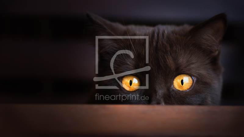 frei w&auml;hlbarer Bildausschnitt f&uuml;r Ihr Bild auf Glas-Schneidebrett