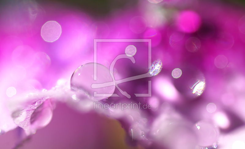 frei w&auml;hlbarer Bildausschnitt f&uuml;r Ihr Bild auf Glas-Schneidebrett