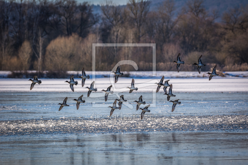 frei w&auml;hlbarer Bildausschnitt f&uuml;r Ihr Bild auf Glas-Schneidebrett