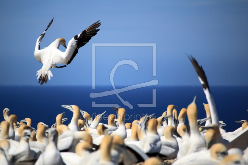 frei w&auml;hlbarer Bildausschnitt f&uuml;r Ihr Bild auf Glas-Schneidebrett