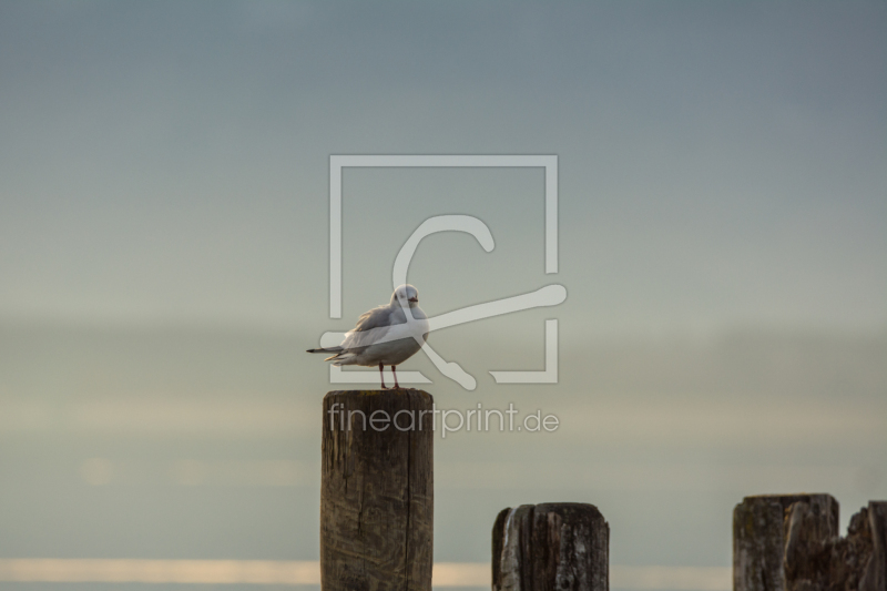 frei w&auml;hlbarer Bildausschnitt f&uuml;r Ihr Bild auf Glas-Schneidebrett
