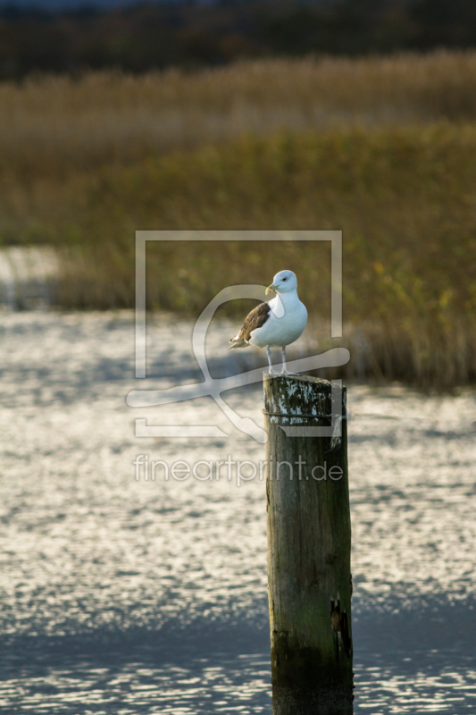 frei w&auml;hlbarer Bildausschnitt f&uuml;r Ihr Bild auf Glas-Schneidebrett