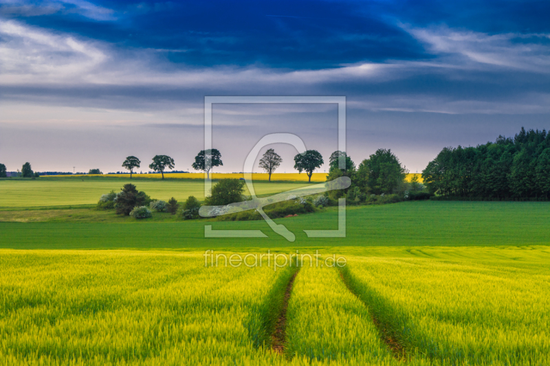 frei w&auml;hlbarer Bildausschnitt f&uuml;r Ihr Bild auf Glas-Schneidebrett