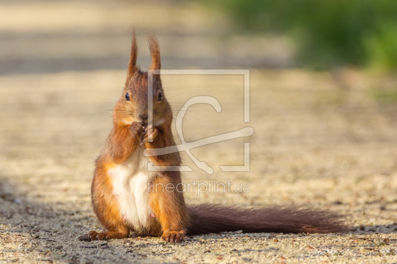 frei w&auml;hlbarer Bildausschnitt f&uuml;r Ihr Bild auf Glas-Schneidebrett