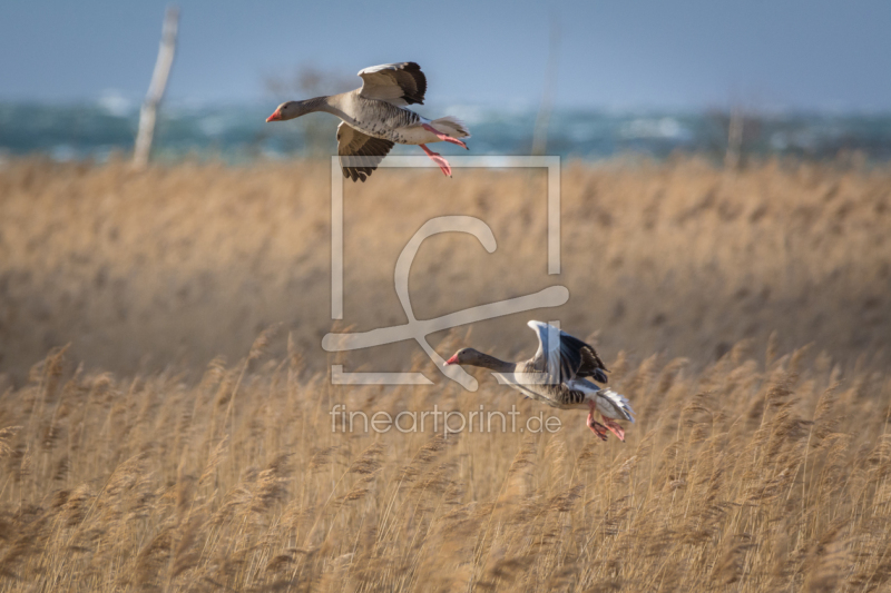 frei w&auml;hlbarer Bildausschnitt f&uuml;r Ihr Bild auf Glas-Schneidebrett