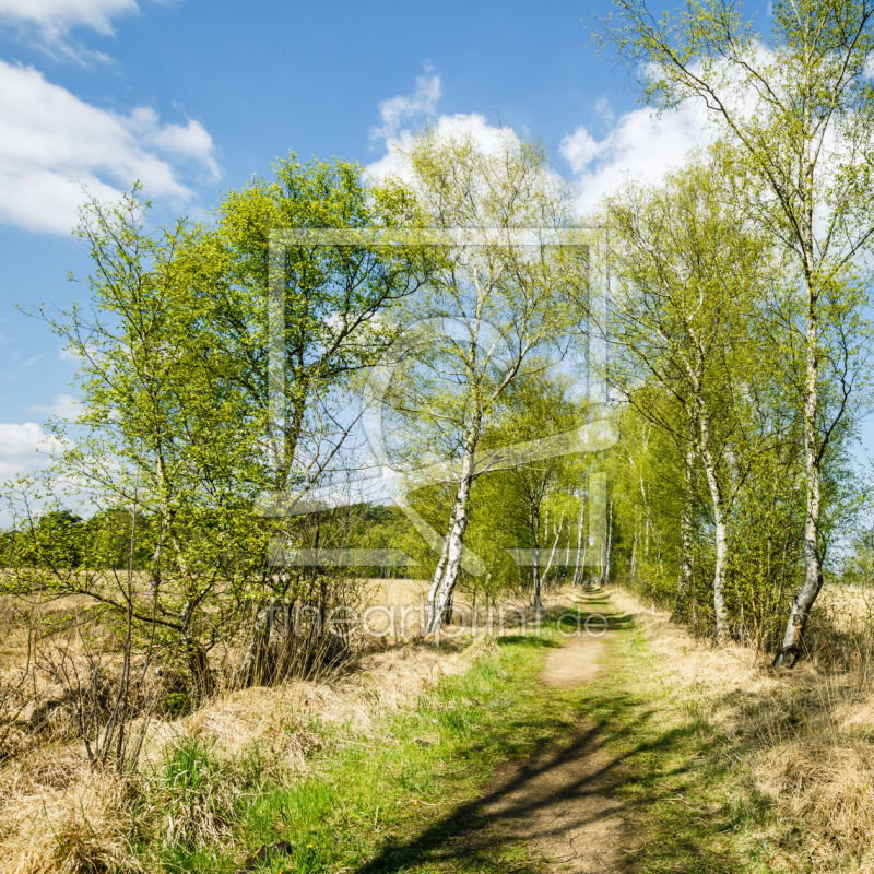 frei w&auml;hlbarer Bildausschnitt f&uuml;r Ihr Bild auf Glas-Schneidebrett