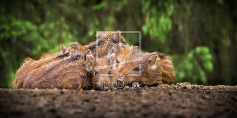 frei w&auml;hlbarer Bildausschnitt f&uuml;r Ihr Bild auf Glas-Schneidebrett