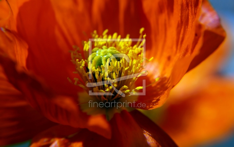 frei w&auml;hlbarer Bildausschnitt f&uuml;r Ihr Bild auf Glas-Schneidebrett