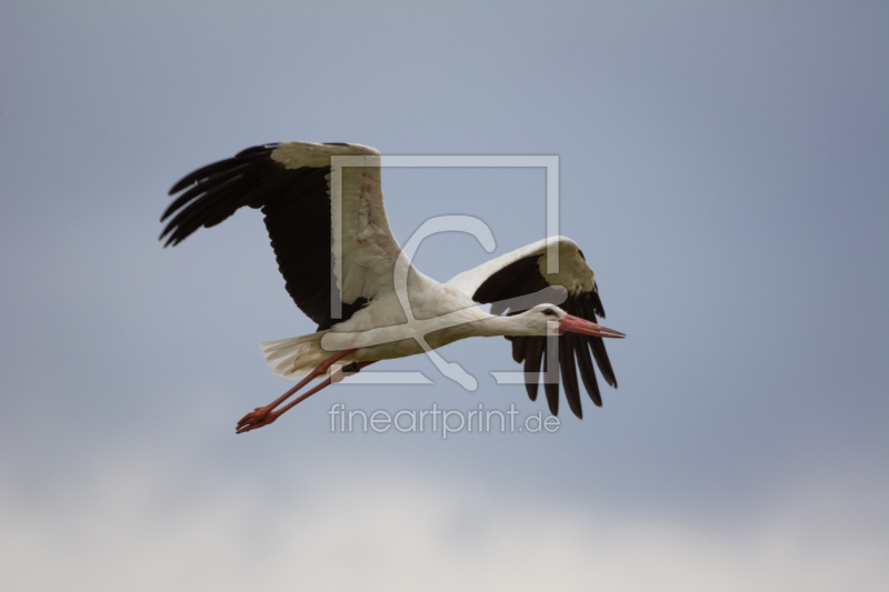 frei w&auml;hlbarer Bildausschnitt f&uuml;r Ihr Bild auf Glas-Schneidebrett