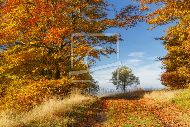 frei w&auml;hlbarer Bildausschnitt f&uuml;r Ihr Bild auf Glas-Schneidebrett