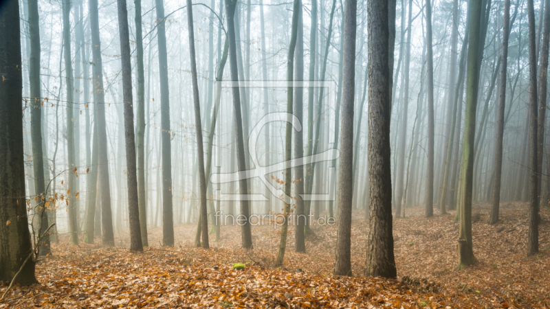 frei w&auml;hlbarer Bildausschnitt f&uuml;r Ihr Bild auf Glas-Schneidebrett