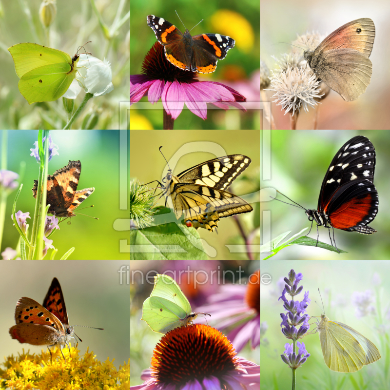 frei w&auml;hlbarer Bildausschnitt f&uuml;r Ihr Bild auf Glas-Schneidebrett