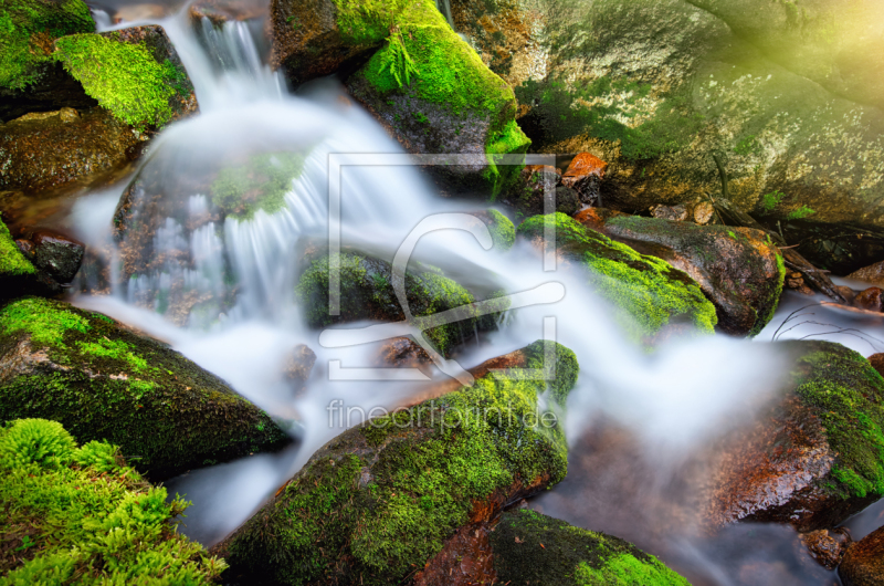 frei w&auml;hlbarer Bildausschnitt f&uuml;r Ihr Bild auf Glas-Schneidebrett
