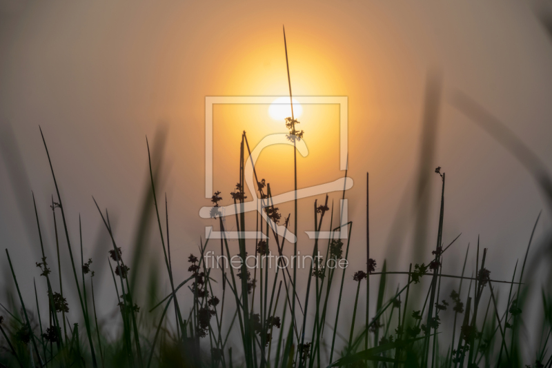 frei w&auml;hlbarer Bildausschnitt f&uuml;r Ihr Bild auf Glas-Schneidebrett