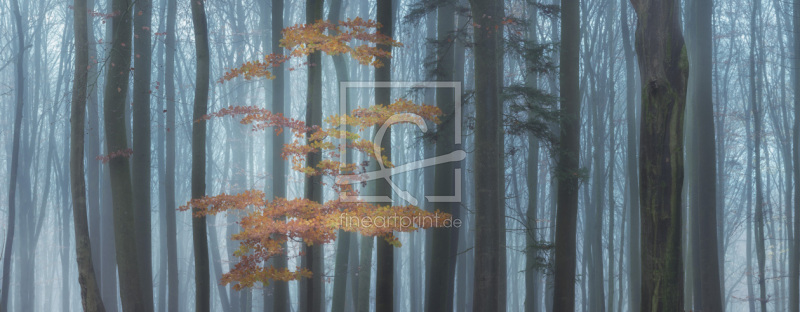 frei w&auml;hlbarer Bildausschnitt f&uuml;r Ihr Bild auf Glas-Schneidebrett