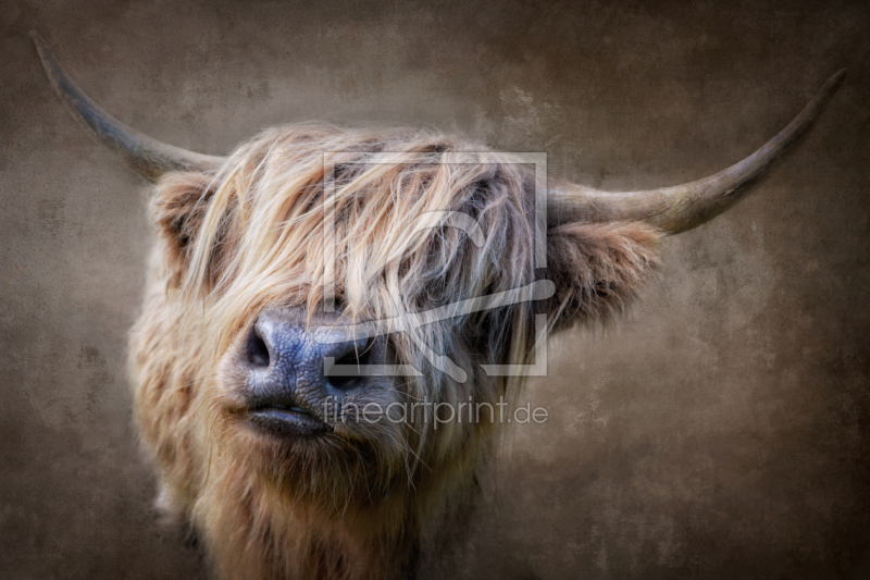 frei w&auml;hlbarer Bildausschnitt f&uuml;r Ihr Bild auf Glas-Schneidebrett