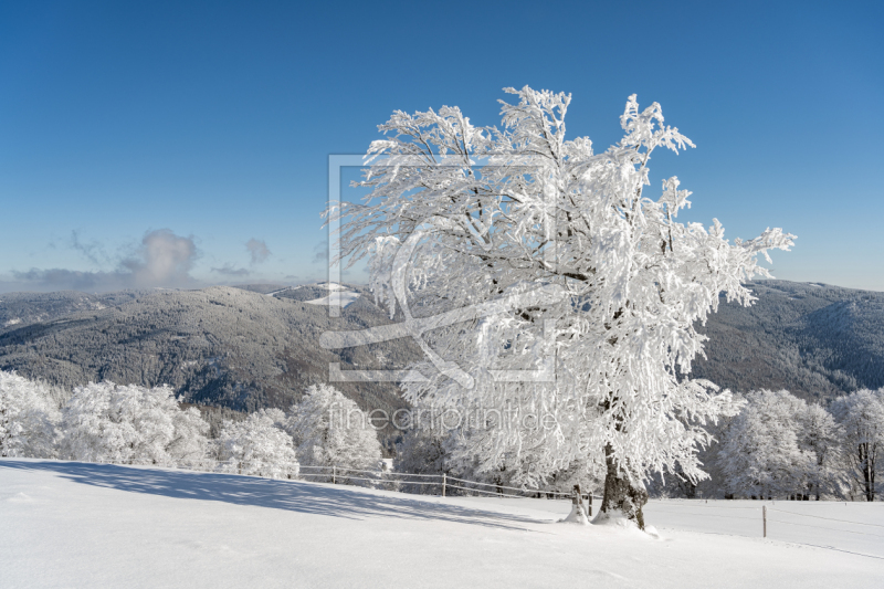 frei w&auml;hlbarer Bildausschnitt f&uuml;r Ihr Bild auf Glas-Schneidebrett