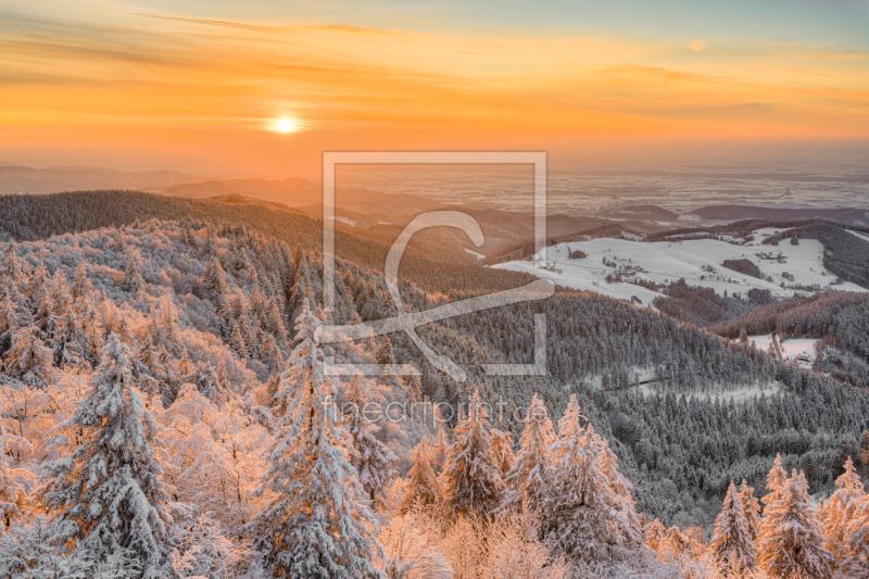frei wählbarer Bildausschnitt für Ihr Bild auf Glas-Schneidebrett