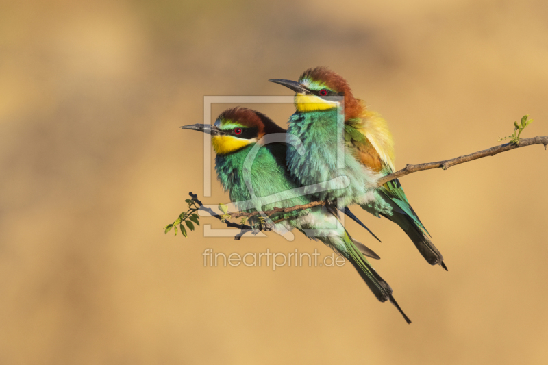 frei w&auml;hlbarer Bildausschnitt f&uuml;r Ihr Bild auf Glas-Schneidebrett