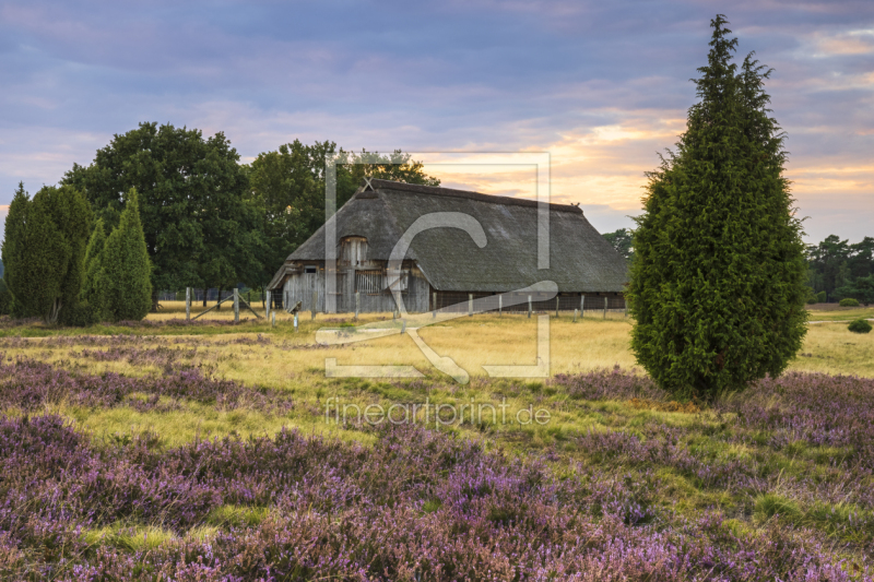 frei w&auml;hlbarer Bildausschnitt f&uuml;r Ihr Bild auf Glas-Schneidebrett