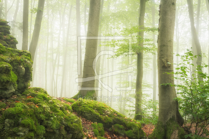 frei w&auml;hlbarer Bildausschnitt f&uuml;r Ihr Bild auf Glas-Schneidebrett