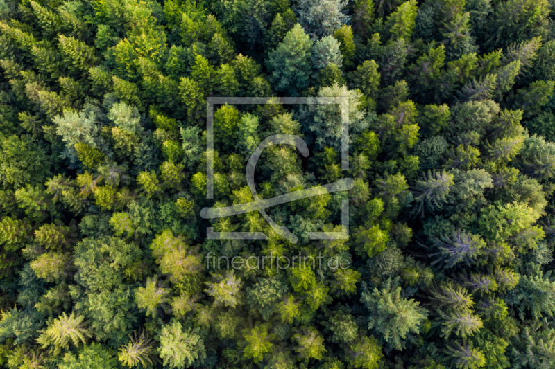 frei w&auml;hlbarer Bildausschnitt f&uuml;r Ihr Bild auf Glas-Schneidebrett