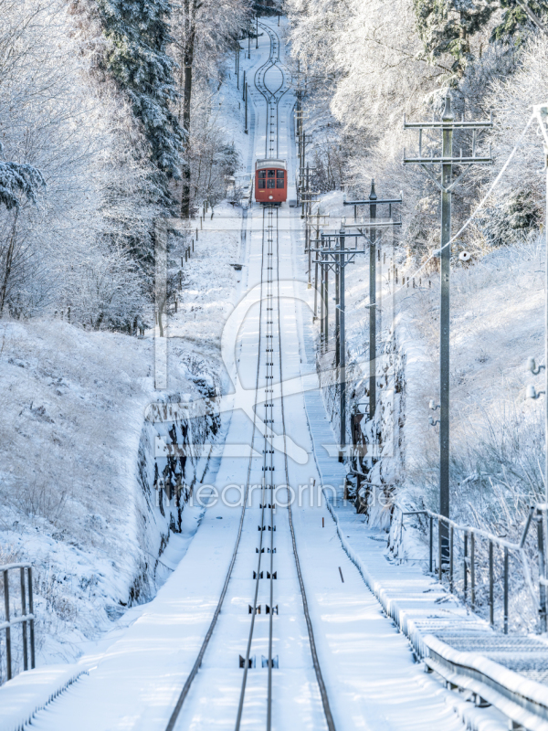 frei wählbarer Bildausschnitt für Ihr Bild auf Glas-Schneidebrett