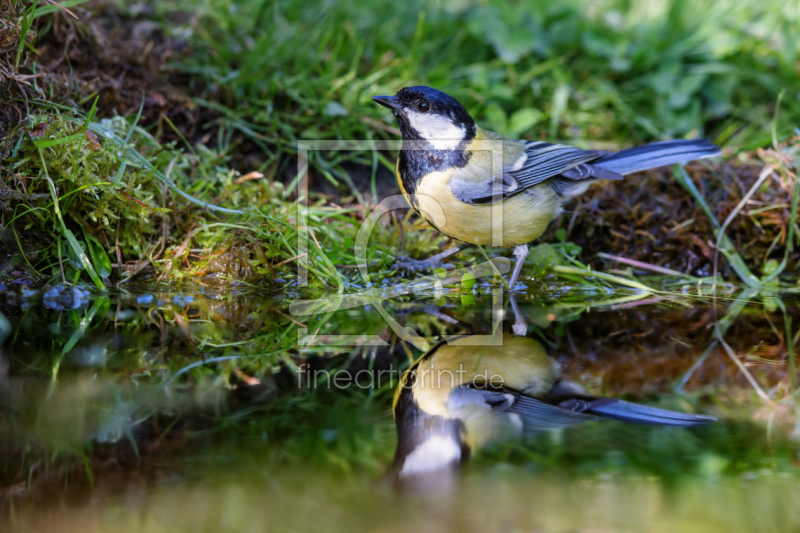frei w&auml;hlbarer Bildausschnitt f&uuml;r Ihr Bild auf Glas-Schneidebrett