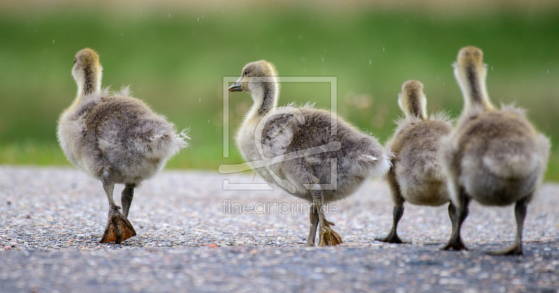 frei w&auml;hlbarer Bildausschnitt f&uuml;r Ihr Bild auf Glas-Schneidebrett