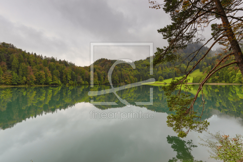 frei w&auml;hlbarer Bildausschnitt f&uuml;r Ihr Bild auf Glas-Schneidebrett
