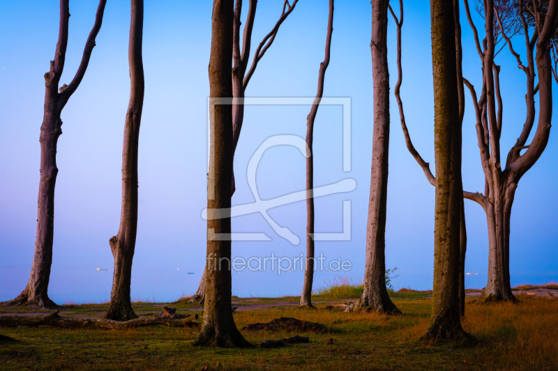 frei w&auml;hlbarer Bildausschnitt f&uuml;r Ihr Bild auf Glas-Schneidebrett
