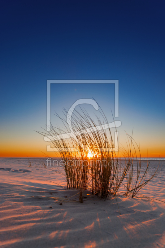 frei w&auml;hlbarer Bildausschnitt f&uuml;r Ihr Bild auf Glas-Schneidebrett