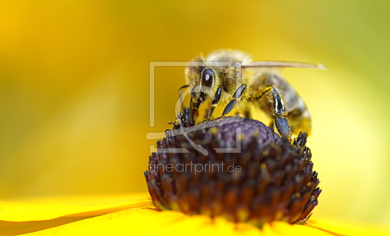 frei w&auml;hlbarer Bildausschnitt f&uuml;r Ihr Bild auf Glas-Schneidebrett