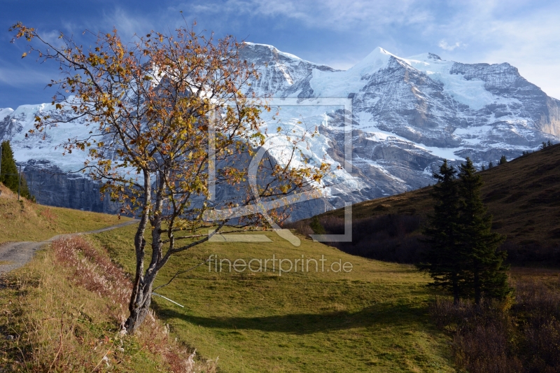 frei w&auml;hlbarer Bildausschnitt f&uuml;r Ihr Bild auf Glas-Schneidebrett