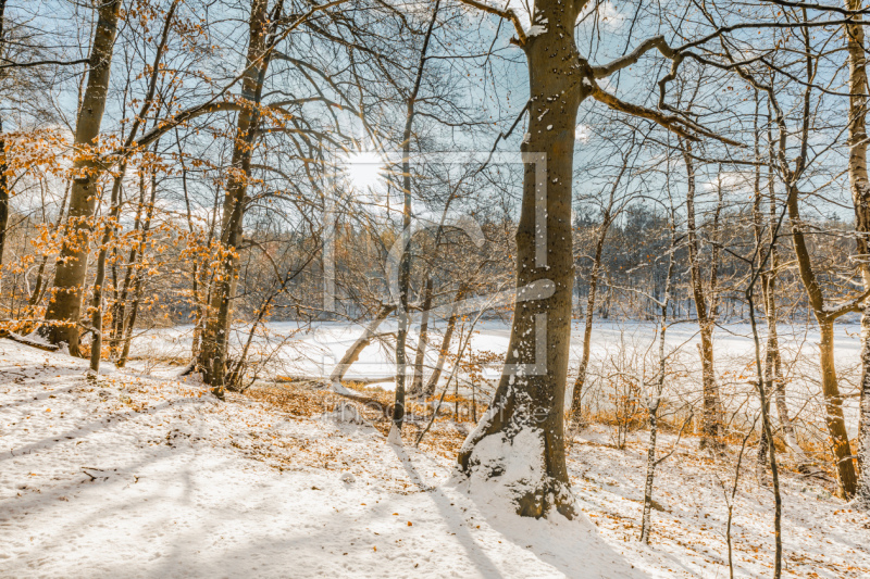 frei wählbarer Bildausschnitt für Ihr Bild auf Glas-Schneidebrett