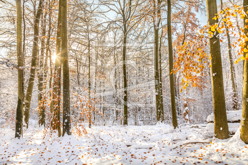 frei w&auml;hlbarer Bildausschnitt f&uuml;r Ihr Bild auf Glas-Schneidebrett