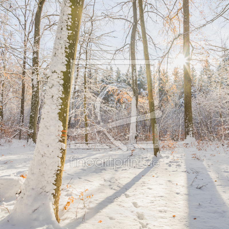 frei wählbarer Bildausschnitt für Ihr Bild auf Glas-Schneidebrett