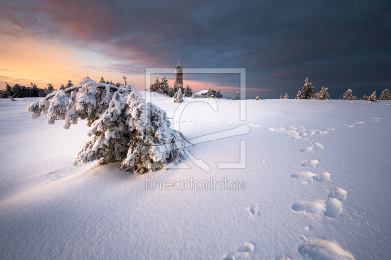 frei wählbarer Bildausschnitt für Ihr Bild auf Glas-Schneidebrett