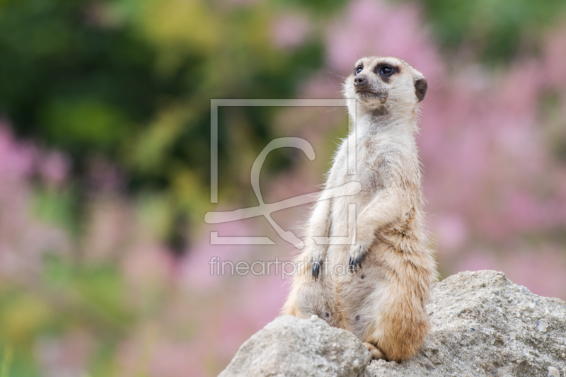 frei w&auml;hlbarer Bildausschnitt f&uuml;r Ihr Bild auf Glas-Schneidebrett