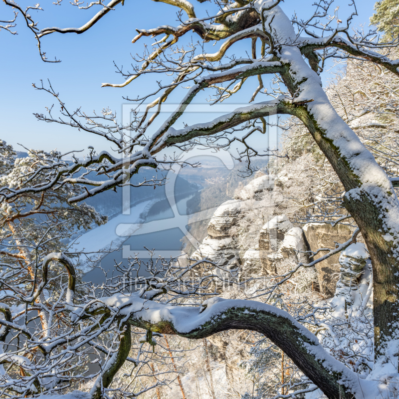 frei w&auml;hlbarer Bildausschnitt f&uuml;r Ihr Bild auf Glas-Schneidebrett