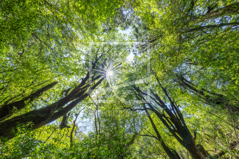 frei w&auml;hlbarer Bildausschnitt f&uuml;r Ihr Bild auf Glas-Schneidebrett