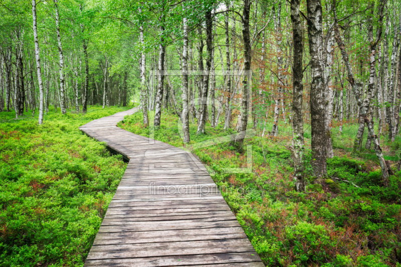 frei wählbarer Bildausschnitt für Ihr Bild auf Glas-Schneidebrett