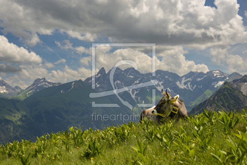 frei w&auml;hlbarer Bildausschnitt f&uuml;r Ihr Bild auf Glas-Schneidebrett