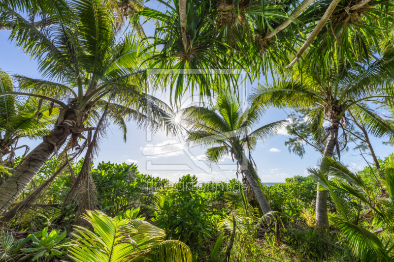 frei w&auml;hlbarer Bildausschnitt f&uuml;r Ihr Bild auf Glas-Schneidebrett