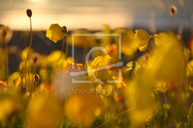 frei w&auml;hlbarer Bildausschnitt f&uuml;r Ihr Bild auf Glas-Schneidebrett